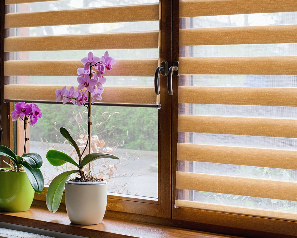 The Curtain Factory Design